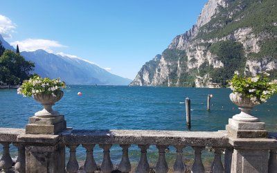 free_bild_1