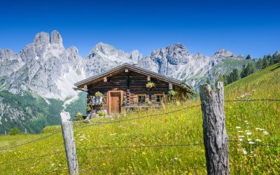free_bild_1